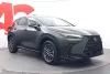 Lexus NX 450h+ AWD Executive - Uusi auto heti toimitukseen Thumbnail 7